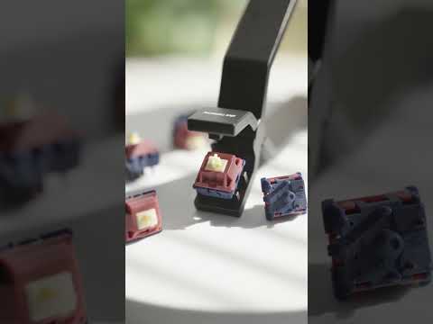 GATERON Quinn Tactile Switch Set