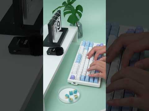 GATERON Dual-rail Lunar Probe Linear Switch Set