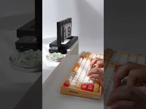 GATERON Baby Kangaroo 2.0 Tactile Switch Set