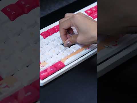 GATERON KS-33 Low Profile 2.0 Chocolate Switch Set