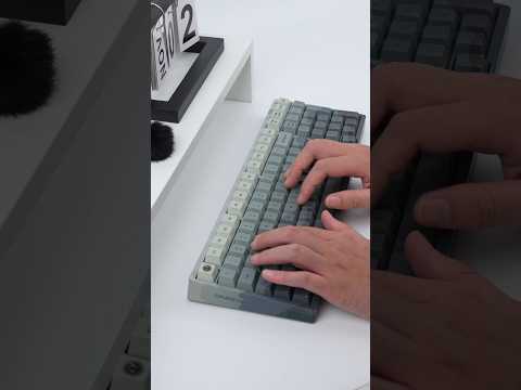 GATERON Oil King Linear Switch Set